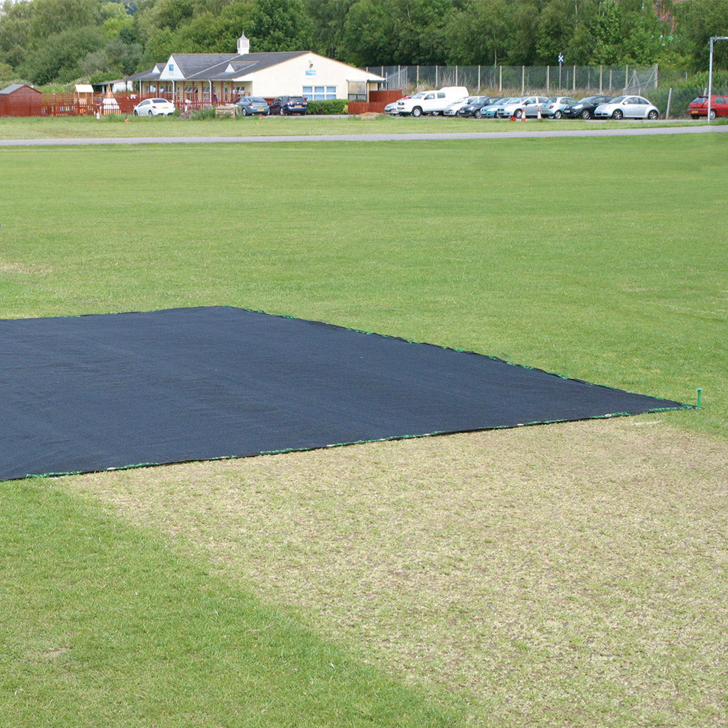 Standard Germination Sheet