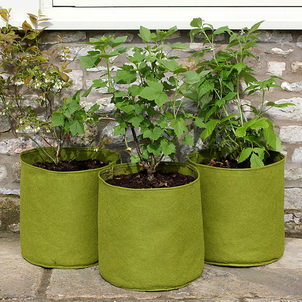 Vigoroot Pots 10L - (3)