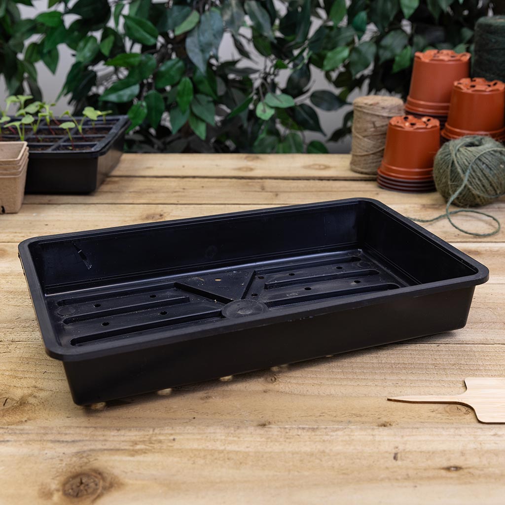 Rigid Seed Tray W/ Drainage Holes Black