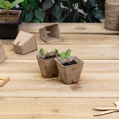 Square Peat Free Pots 20 x 5cm